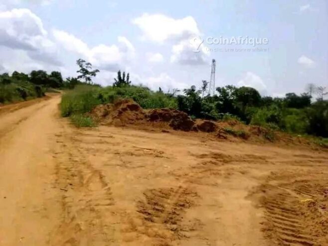 Terrain – Bomono