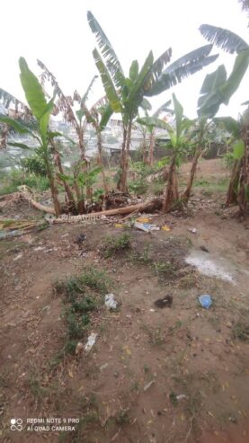 Terrains 2630m2 – Douala