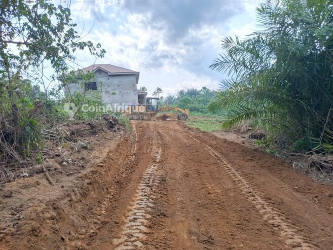 Terrains titré – Missolé 2 carrefour Mbongo