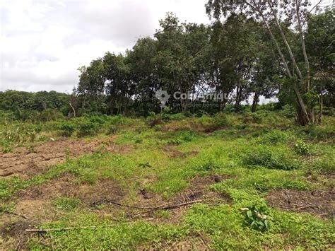 Terrain 375 m² –  Lendi