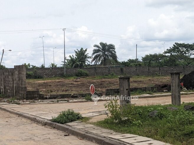 Terrain agricole  8000m`- Douala