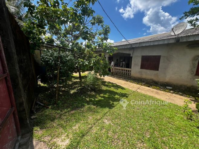 Vente villa  – Japoma