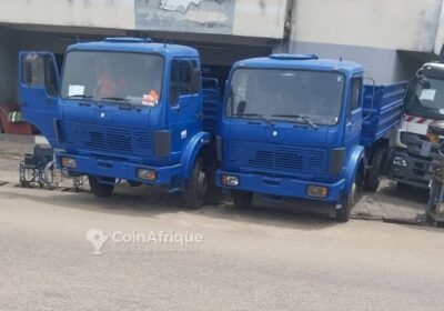 Camion Benne 1017