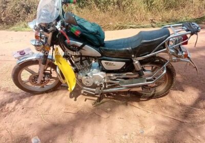Lifan 115 2020