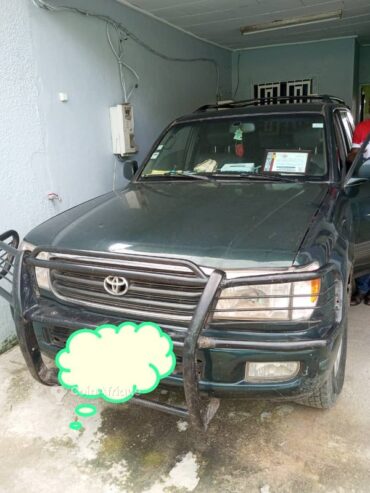 Location Toyota Land Cruise