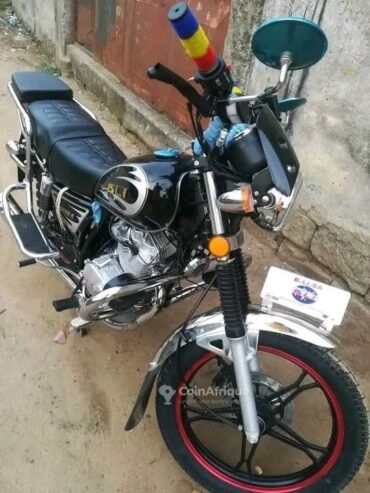 Moto Point 6 BLI 115 2023