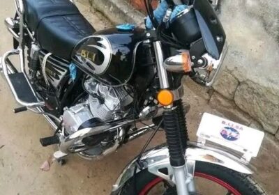Moto Point 6 BLI 115 2023