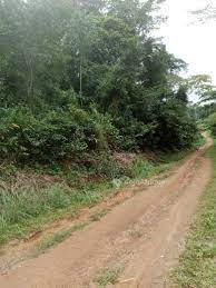 Terrain 3H – Douala pk29
