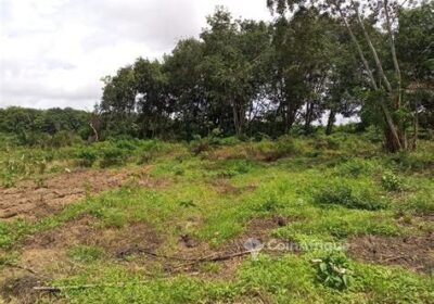 Terrain agricole 700 m² – Lendi