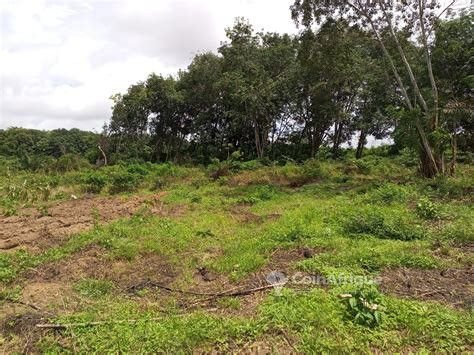 Terrain agricole 700 m² – Lendi