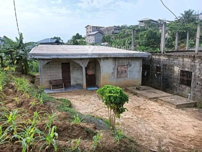 Vente maison  4 pièces  – PK17
