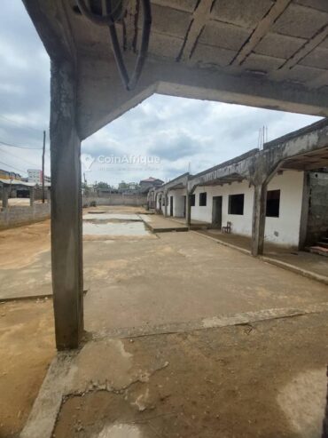 Vente villa 20 pièces – Douala