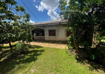 Vente villas 9 pièces – Douala