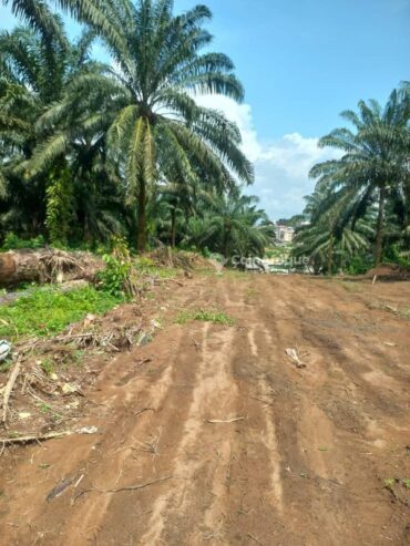 Terrain agricole – Carrefour Souley