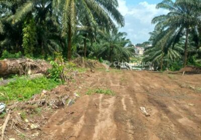 Terrain agricole – Carrefour Souley