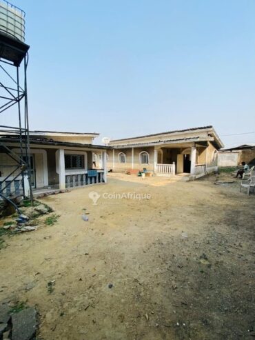 Vente duplex maison  – Ndokoti