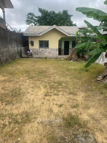 Vente maison –  Japoma