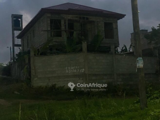 Vente villa 9 pièces – Douala