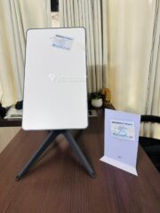 Starlink V4