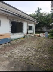 Location villa 3 chambres salon – Bonapriso