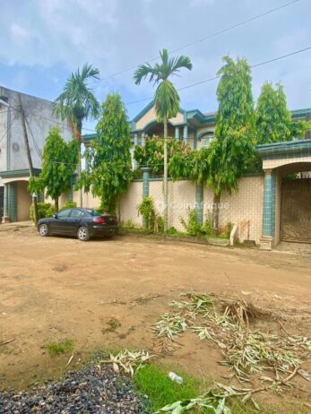 Vente villas 11 pièces – Douala